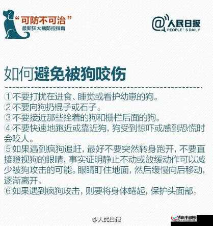 被自己家狗上瘾了怎么办：这可咋整