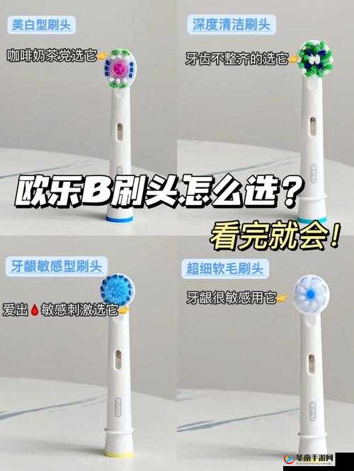 电动牙刷玩法：自己那里带刷头吗