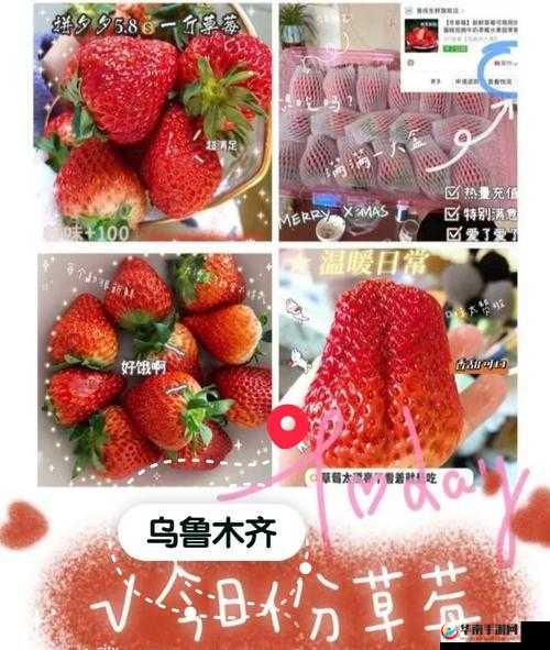 草莓传媒充值的钱能退回来吗：相关探讨
