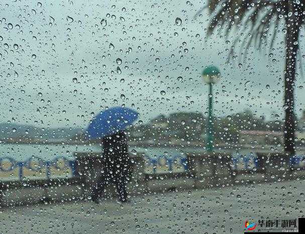 湿漉漉的像是刚下过雨：雨后的清新世界