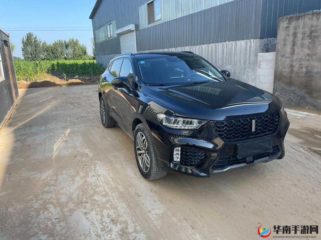 Wey VV5 国产 SUV 强劲之选