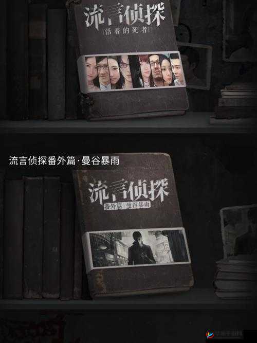 流言侦探通关攻略：破解谜团，报告篇的策略与方法