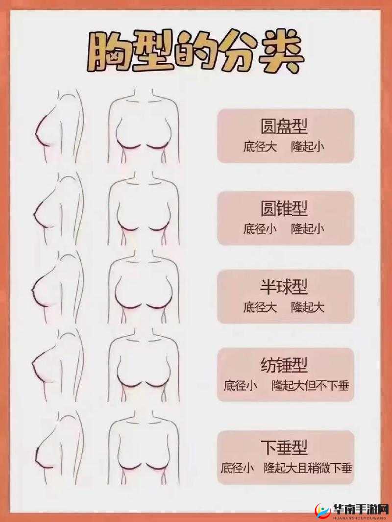 水滴型与馒头型区别解析：形状特征差异剖析