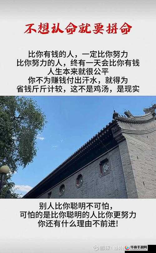 探索文字世界的奥秘，解开成亲之谜——文字的世界成亲了通关攻略