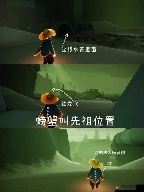 光遇中捡螃蟹的奇趣用途与玩家互动体验