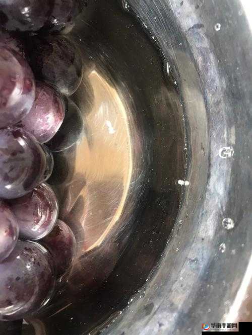 葡萄不准掉出来晚上检查：这是为何