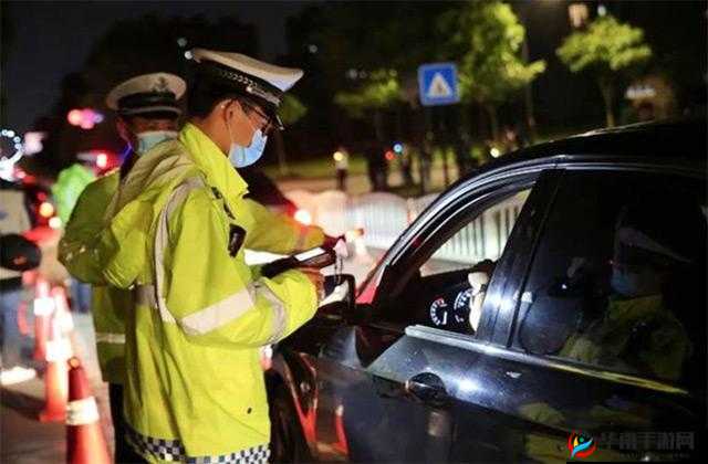 交警用菊花检查酒驾：这是怎样的离奇事件