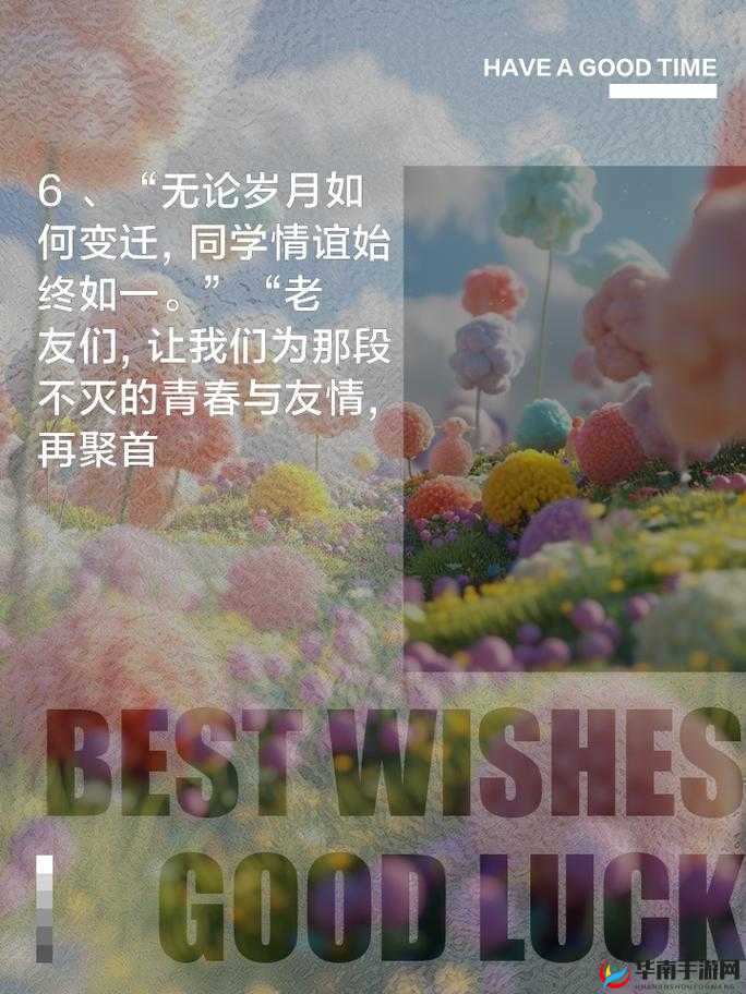 同学聚会的意义 3：忆往昔同窗情