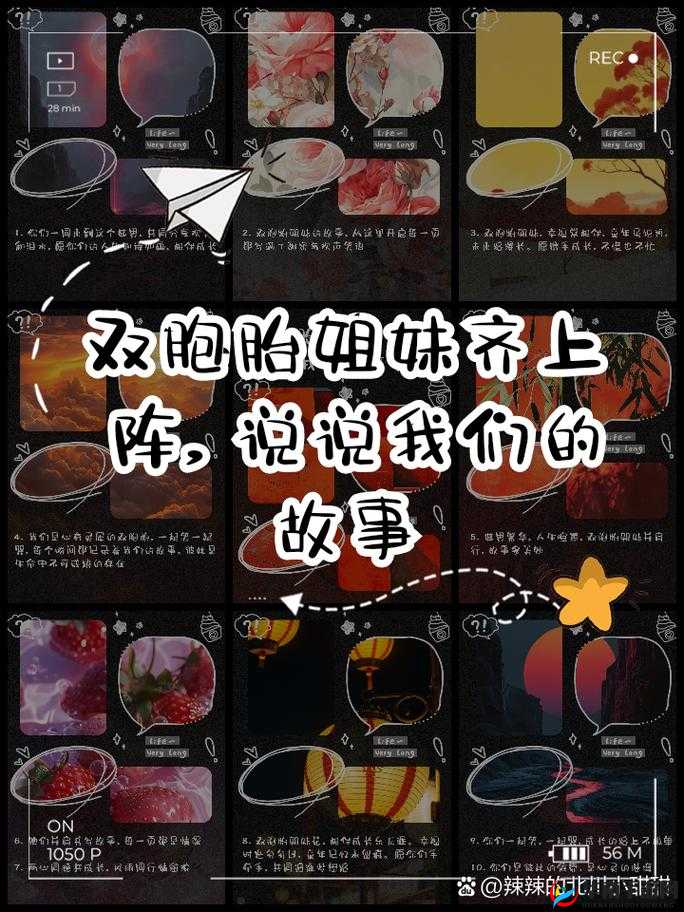 双胞胎姐妹齐上阵，诸多话语齐分享