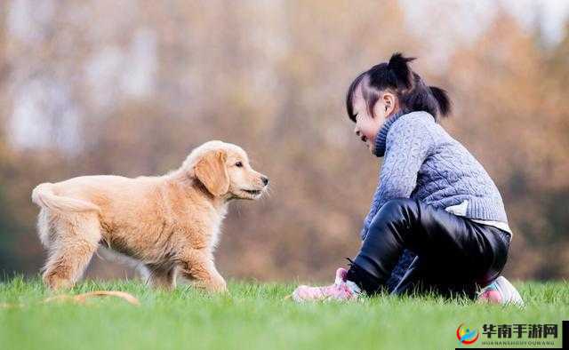 人与动物互动：小狗与主人的欢乐时光