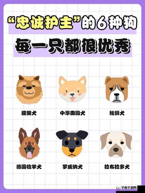 jx狂鬃獒皇独特护主技能揭秘：深入了解其忠诚与保护力