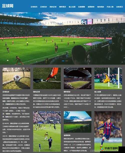 WEB 成品网站重磅登场：开启全新体验之旅