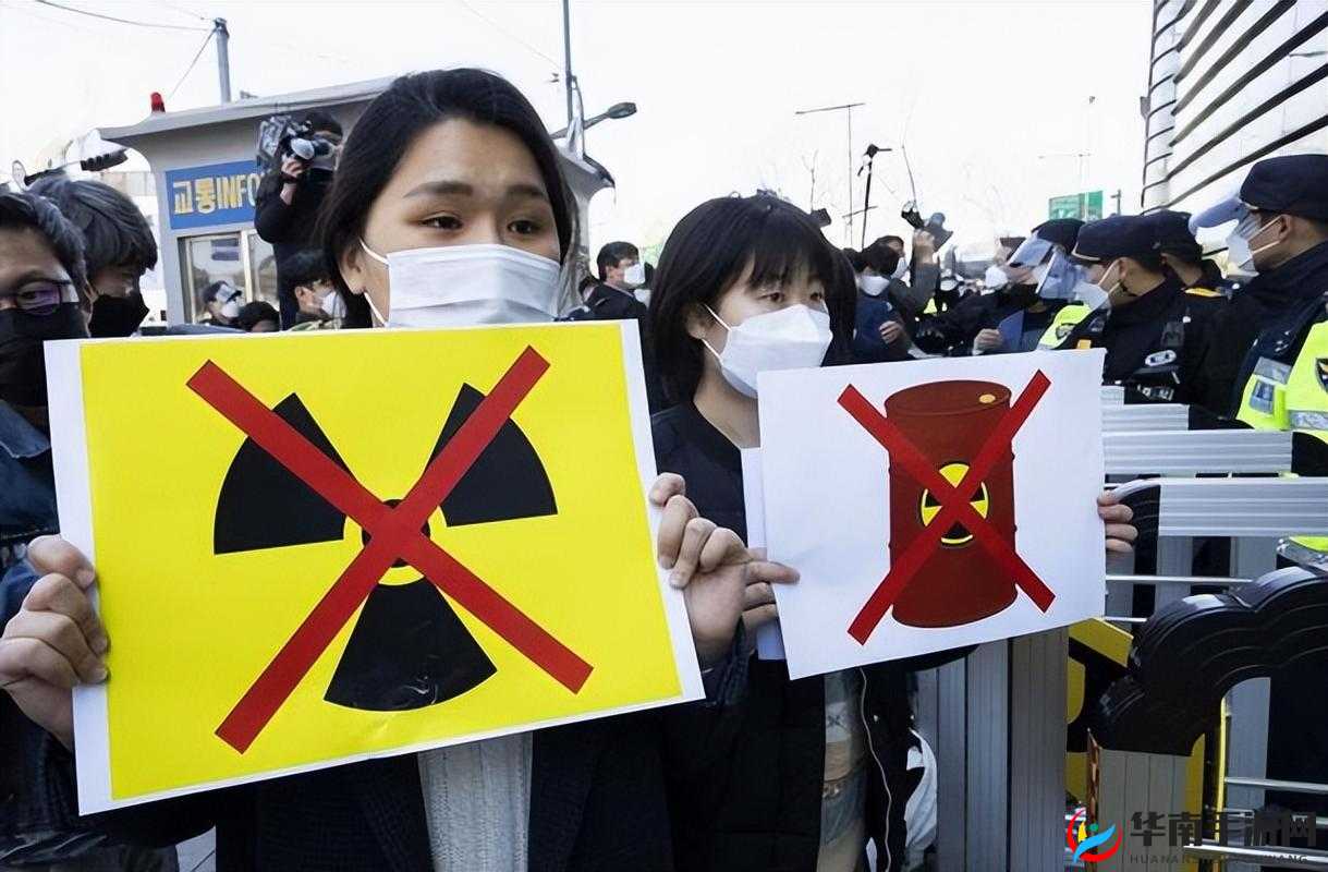 日本产品与韩国产品哪个更好探讨