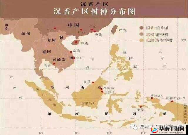 沉香一线产区和二线产区的区别：深度解析