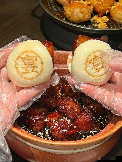 太子宠妾高肉：红烧肉包所讲内容