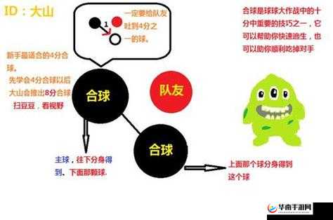 球球大作战快速合球技巧与团战配合操作详解：如何高效传递球体给队友并提升团队战力