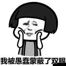 不要打扰愚蠢的我