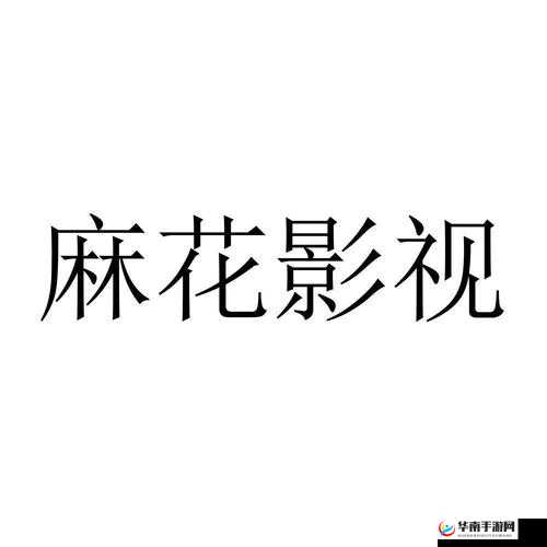 麻花影视文化传媒制作公司：创新引领未来