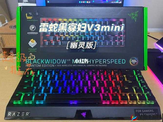 黑寡妇 v3 静音版：是否为拨插轴？