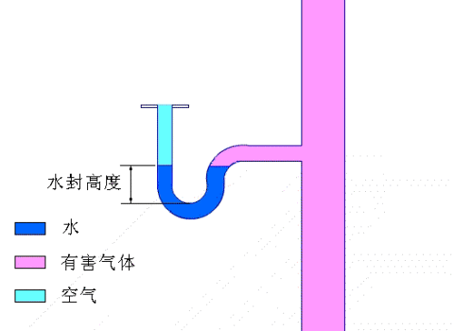 拔萝卜时水为什么会拉丝：背后的科学原理