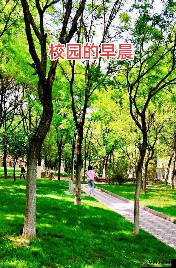 朝阳初升校园 11h：充满希望的一天