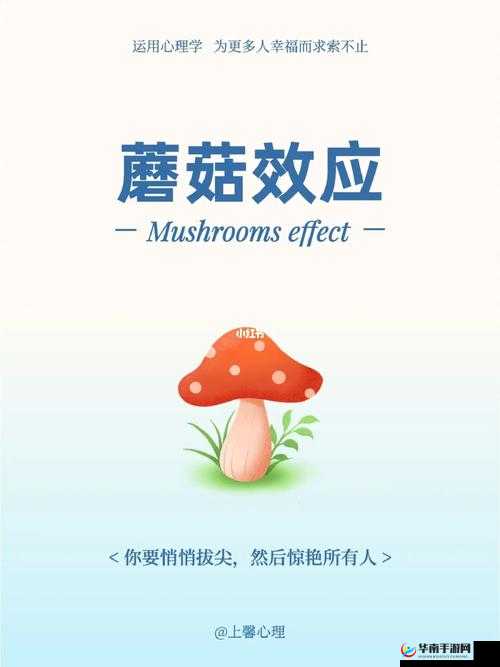 授课方式 by 蘑菇：趣味知识讲解