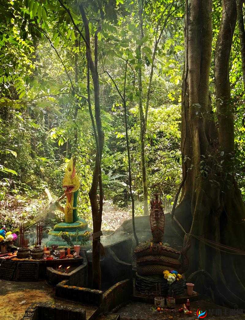 仙踪林 19：探寻神秘之地的足迹