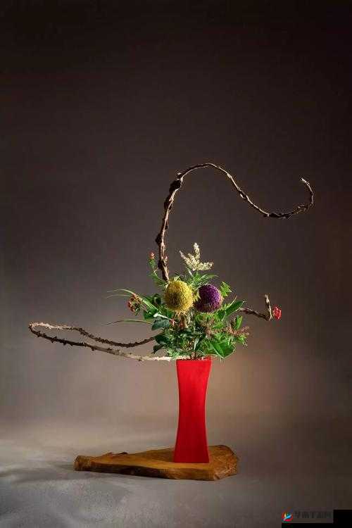 紫龙插花芯：艺术与心灵的交融之美