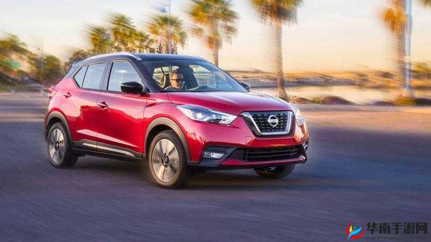 国产日韩精品 SUV：为何备受青睐