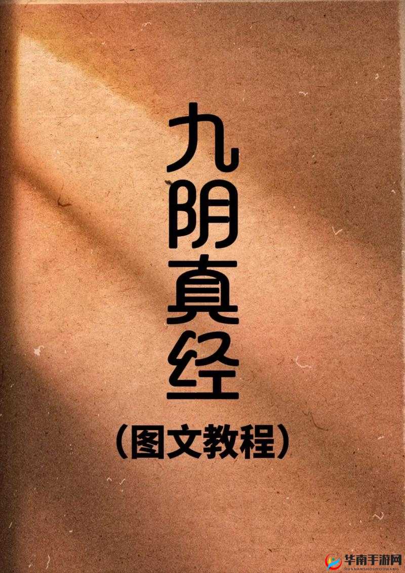 九阴真经 x88888：绝世秘籍现世