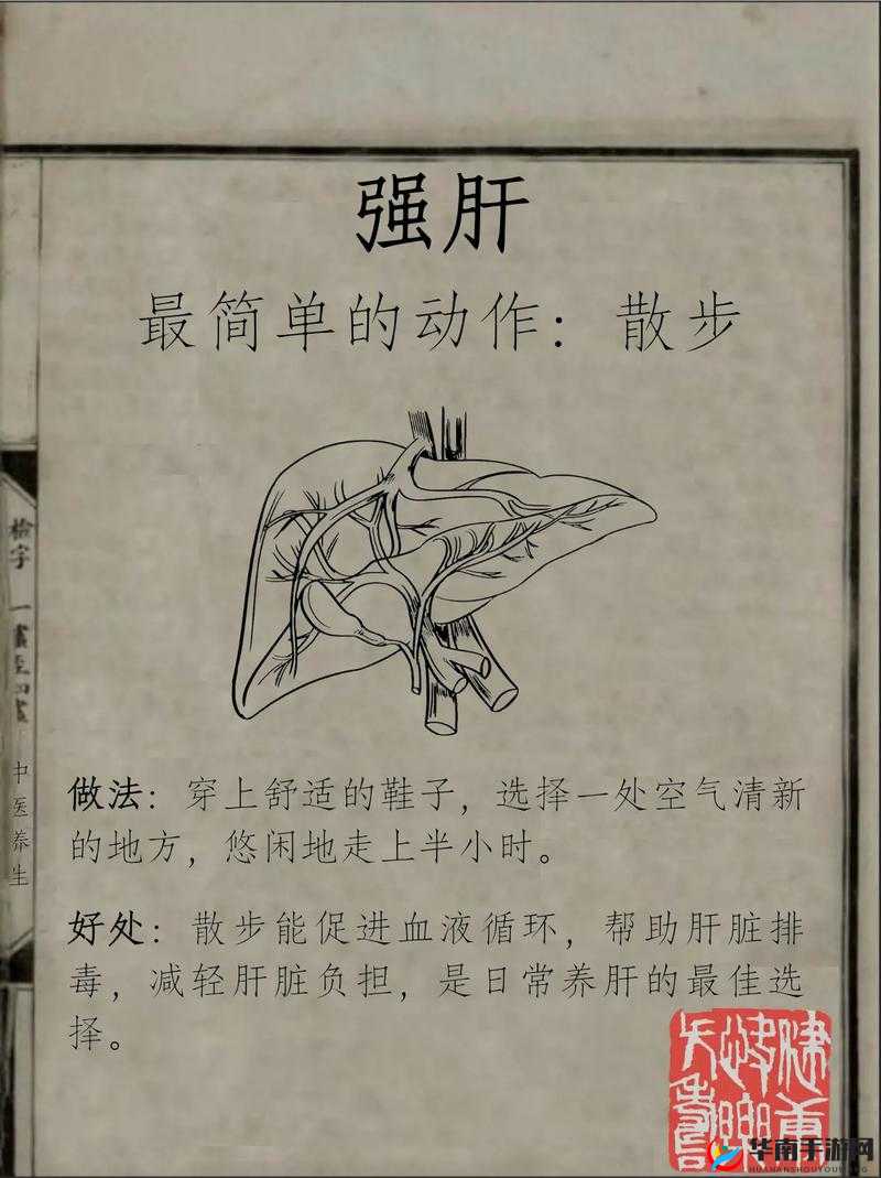 办公室强肝：最终谁最厉害揭晓
