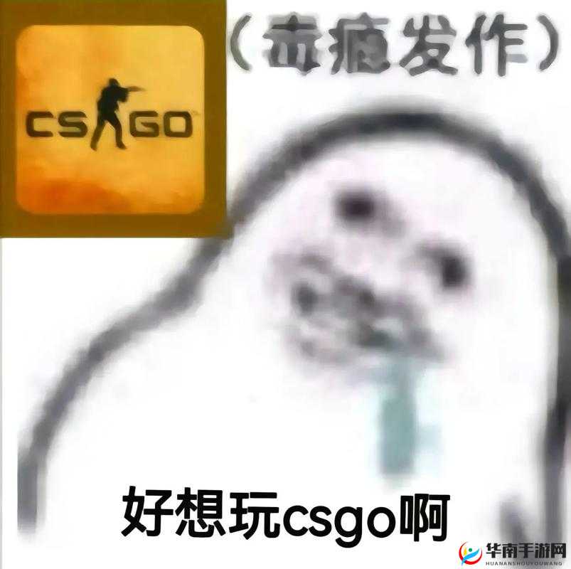 55 岁大妈玩 CSGO：游戏没有年龄限制