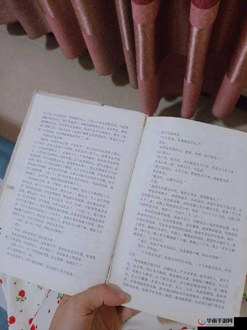 丁的夫人 1996 年意大利：一段特别经历