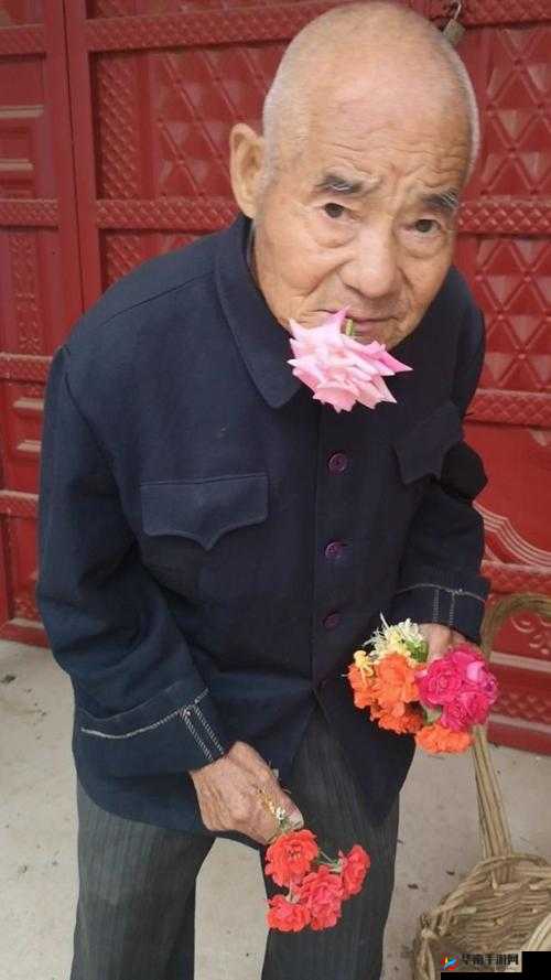 老王头的幸福晚年：张倩倩的陪伴与关怀