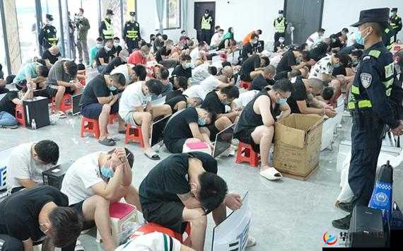 缅甸北部血腥网站 2023 黑网：揭秘缅北诈骗黑幕