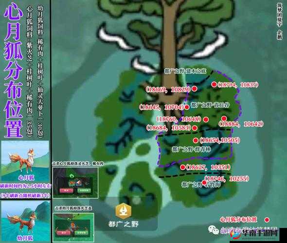 创造与魔法零件位置大全：探索都广之野的秘密