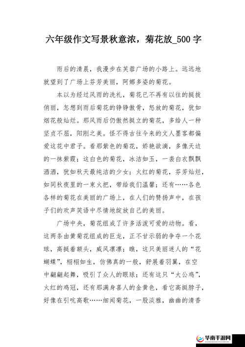 六年级菊花能塞下几支笔：探究背后真相