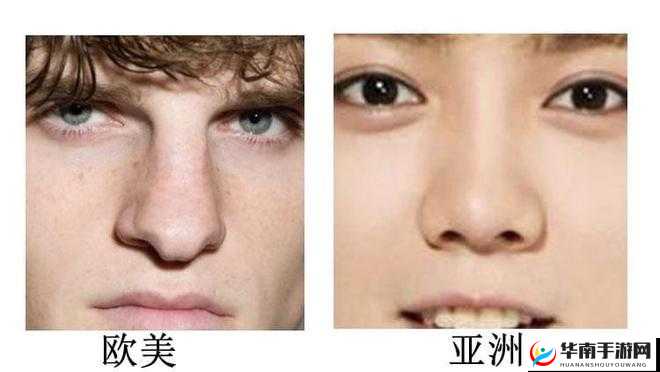 欧洲人对亚洲人长相的普遍看法
