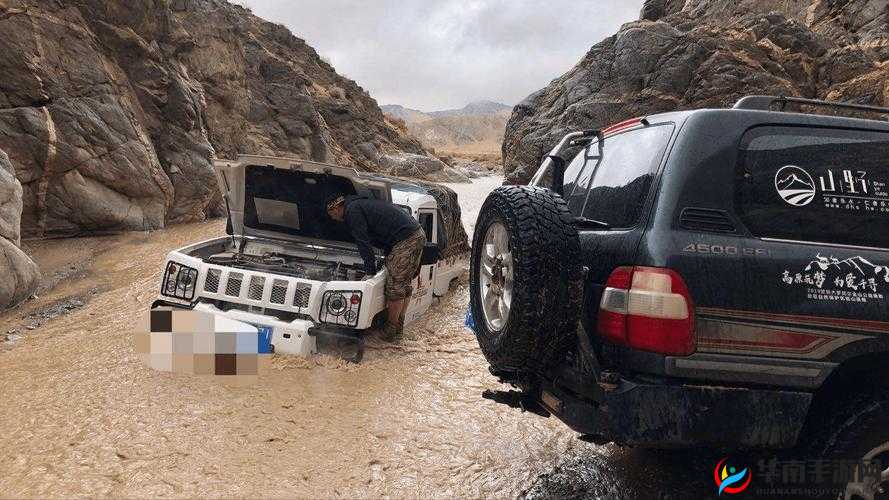 欧美无人区码 SUV：探索未知的绝佳伙伴