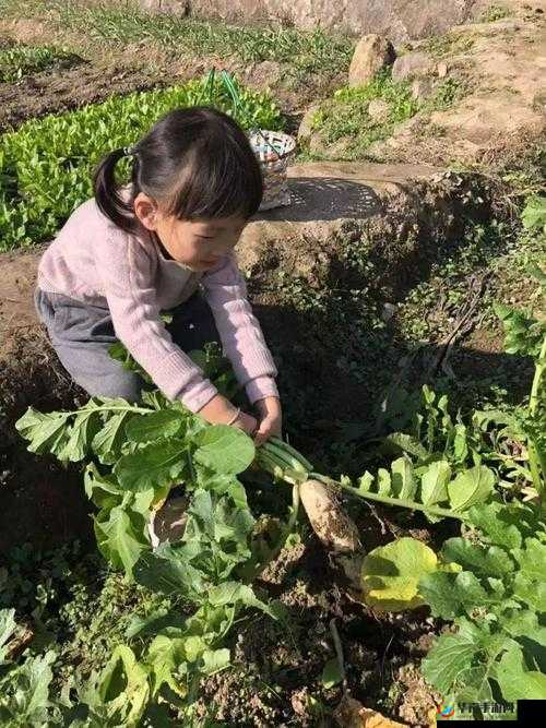 拔萝卜又叫黄降 9.1：带你领略不一样的游戏世界
