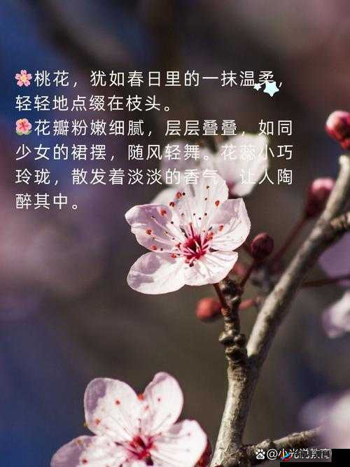 含苞欲放的桃花那是春天的嘴唇吧：诗意的春景描绘
