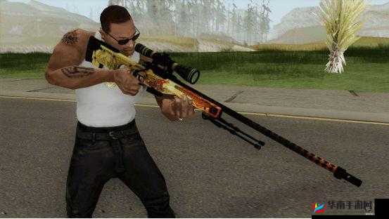 日本 csgo 大姐姐 awp 多少钱：其价格探讨