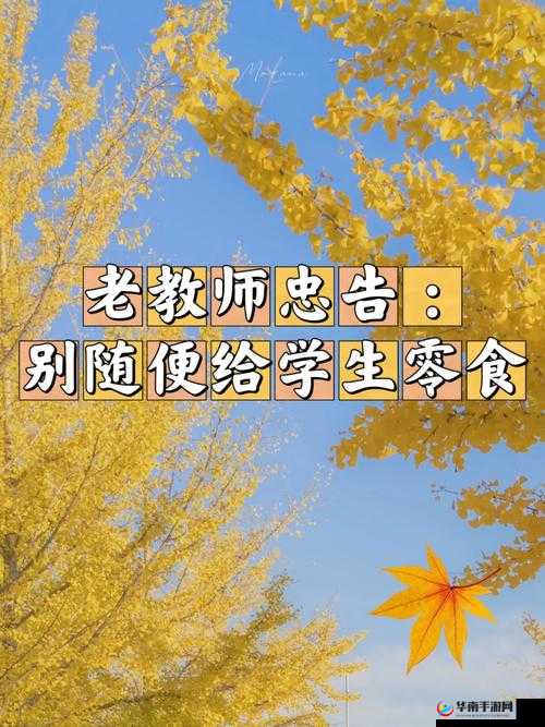 老师今晚：随便你怎么回复