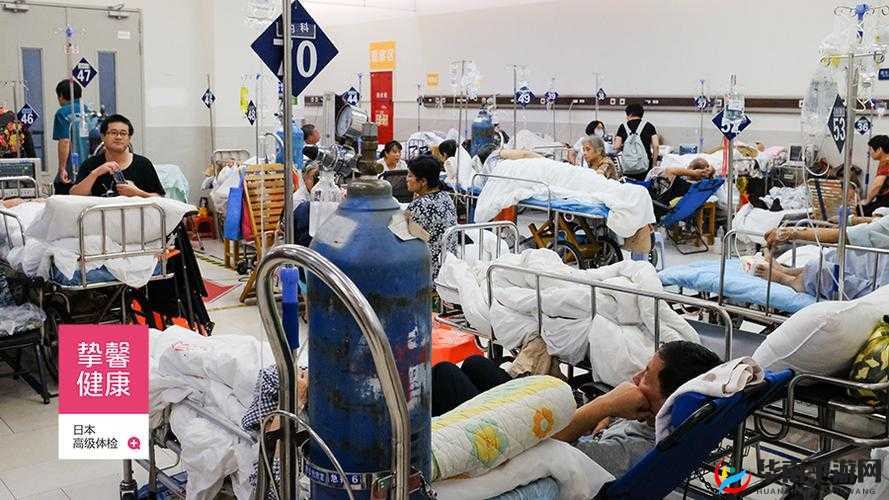 日本医院的特殊待遇 5：揭秘背后的神秘面纱