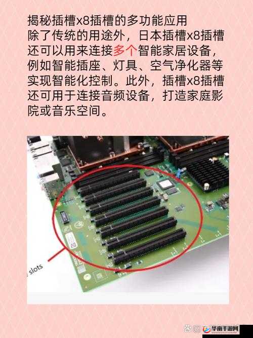 日本插槽 X8 是正规还是仿：深度解析