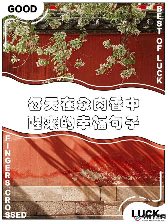 每天在汆肉中醒来：美食与生活的交融