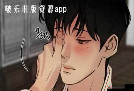 啵乐网页：漫画阅读的精彩世界