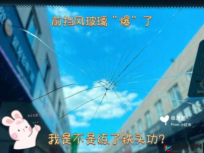 9 分 10 秒头撞玻璃：惊人一幕背后的故事