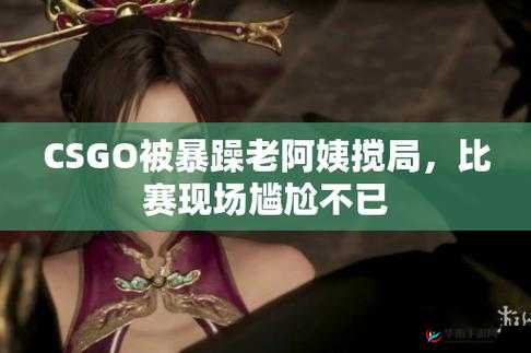 暴躁老阿姨 CSGO：暴躁的游戏之旅