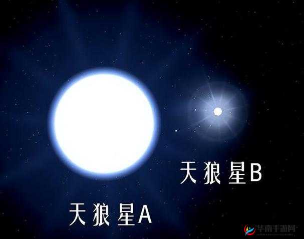 B 和 B 为什么不一样：探寻两者差异的根源